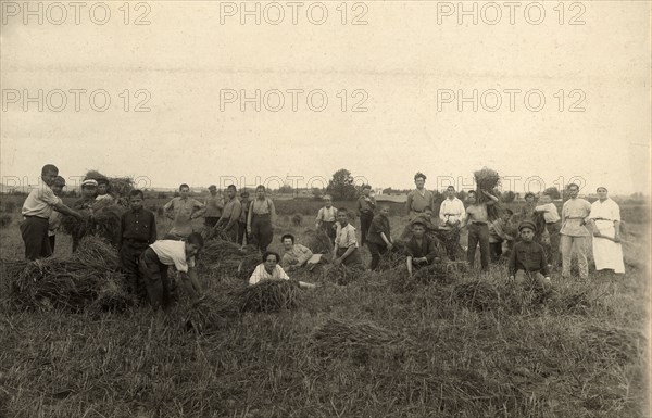 Jewish Pedagogical College and Agricultural School - At field work/Harvest, Minsk, 1922-1923. Creator: Unknown.