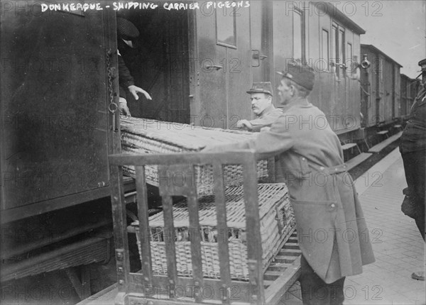 Donkerque [i.e., Dunkerque], shipping carrier pigeons, between c1914 and c1915. Creator: Bain News Service.