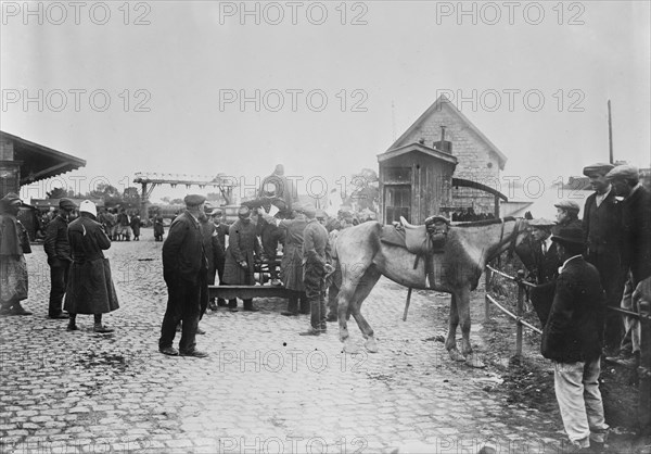 Wounded from battle of Vie [i.e., Vic] at Compiegne, 26 Oct 1914. Creator: Bain News Service.