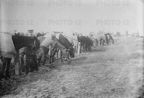 British at Etaples, France, Feb. 1915. Creator: Bain News Service.