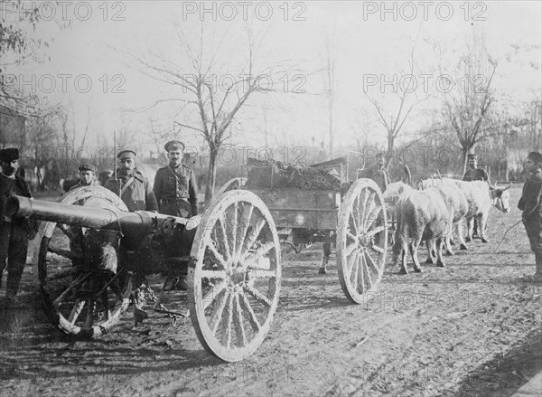 Field gun drawn by oxen, Serbia, between c1915 and c1920. Creator: Bain News Service.