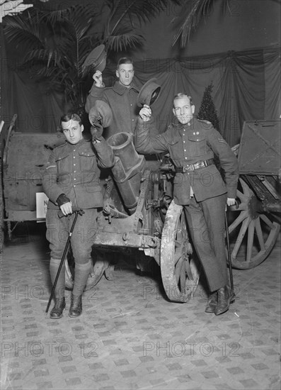 Howitzer at Hero Land, 1917. Creator: Bain News Service.