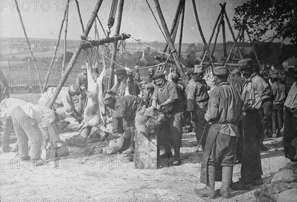 Army butchers, Aisne Front, between c1915 and 1918. Creator: Bain News Service.