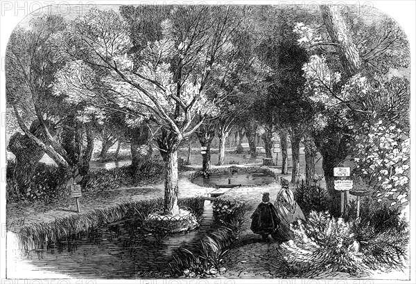 Experimenting ponds at the Huningue Fish Nurseries, France, 1864. Creator: Mason Jackson.