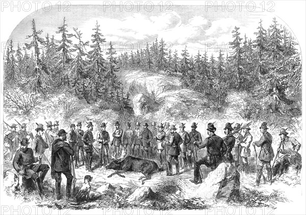 Visit of the Prince and Princess of Wales to Sweden: elk-shooting in the Forest of Högtorp…, 1864. Creator: Unknown.