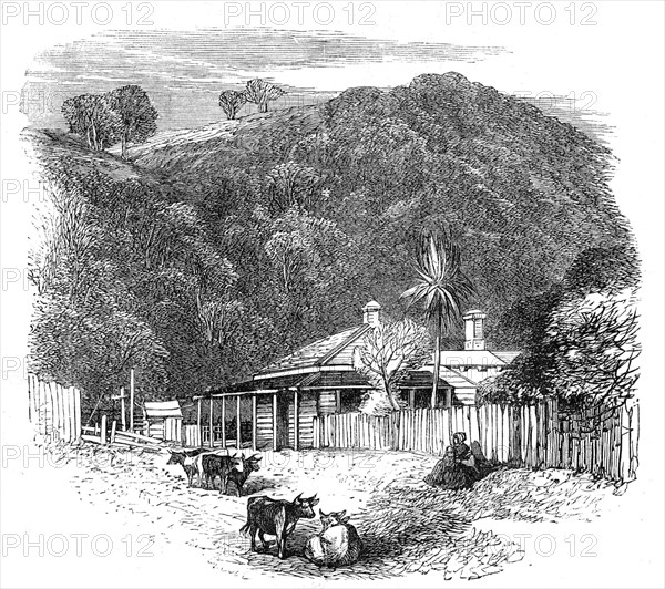 Views at the Seat of the War in New Zealand: settler's house at Waikato, 1864. Creator: Unknown.