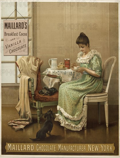 Maillard's breakfast cocoa and vanilla chocolate. Maillard chocolate manufacturer New-York,1889-1891 Creator: Anonymous.