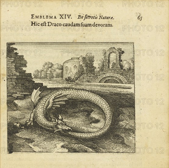 Emblem 14. This is the dragon eating its own tail. From "Atalanta fugiens" by Michael Maier, 1618. Creator: Merian, Matthäus, the Elder (1593-1650).
