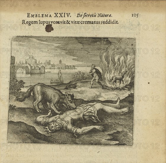 Emblem 24. The wolf ate the king, and how he burned the life back to him, 1618. Creator: Merian, Matthäus, the Elder (1593-1650).