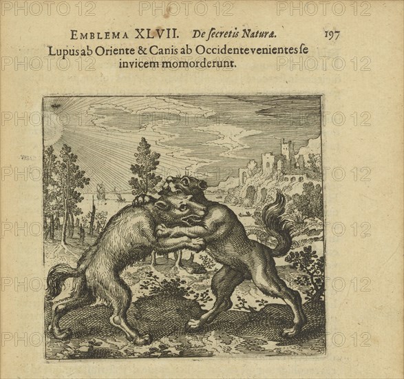 Emblem 47. The wolf coming from the staircase and the dog coming from the staircase have..., 1816. Creator: Merian, Matthäus, the Elder (1593-1650).