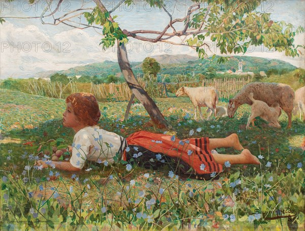 La raccolta delle albicocche (Die Aprikosenernte). Creator: Savini, Alfredo (1868-1924).