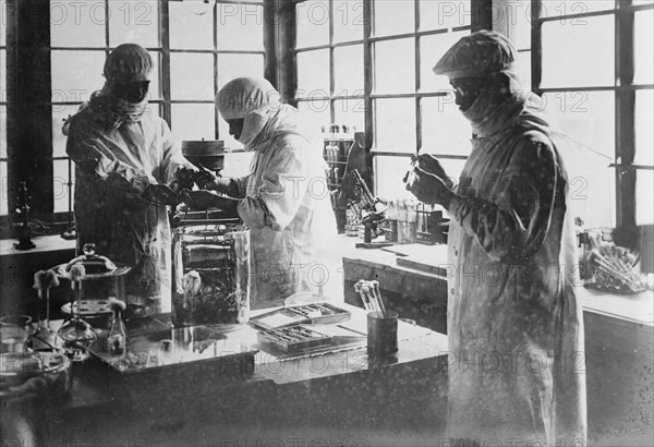 Japan - Injecting pest bacillus into rats, between c1915 and c1920. Creator: Bain News Service.