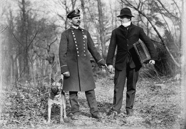 Police dogs, policeman, and thief, New York City, 1912. Creator: Bain News Service.