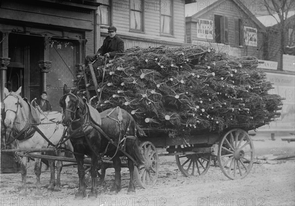 Load of Xmas trees, N.Y., between c1910 and c1915. Creator: Bain News Service.