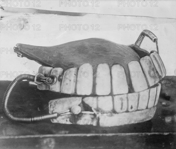 George Washington's teeth, between c1910 and c1915. Creator: Bain News Service.