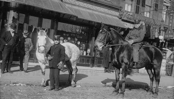 Fire engine horses, between c1910 and c1915. Creator: Bain News Service.