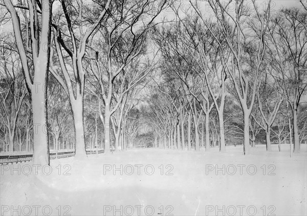 The Mall, Central Park, between c1910 and c1915. Creator: Bain News Service.