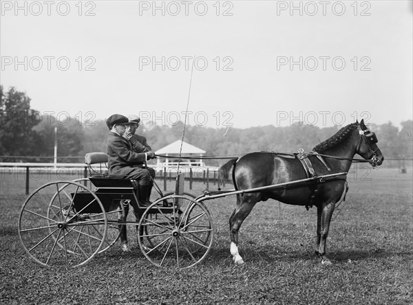 John Schiff & Mrs. Phipps' "Mighty Adam", 1913. Creator: Bain News Service.