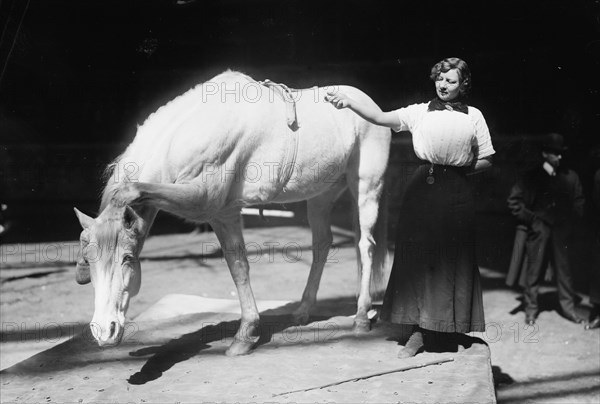 Barnum-Bailey Show - Model Artist Horse Posing, between c1910 and c1915. Creator: Bain News Service.