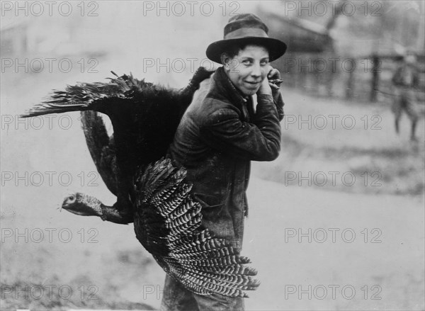 Thanksgiving turkey, between c1910 and c1915. Creator: Bain News Service.