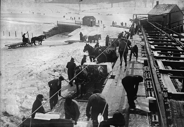 Loading ice, between c1910 and c1915. Creator: Bain News Service.