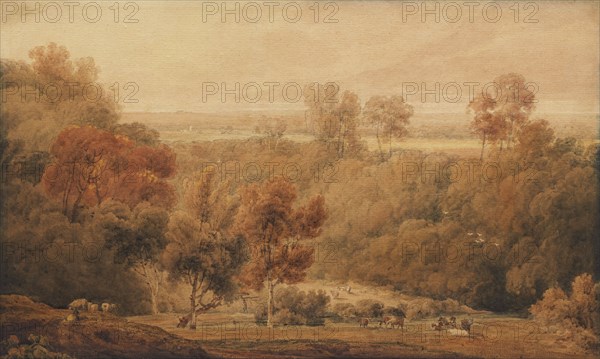 An Extensive Wooded Landscape With Cattle In The Foreground, early 19th century. Creator: Amelia Long.