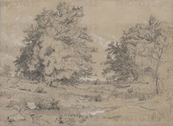 A Pond In The Forest, c1840. Creator: Constant Troyon.