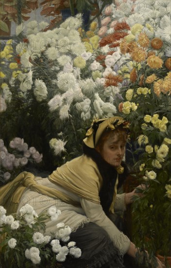 Chrysanthemums, c1874-76. Creator: James Tissot.