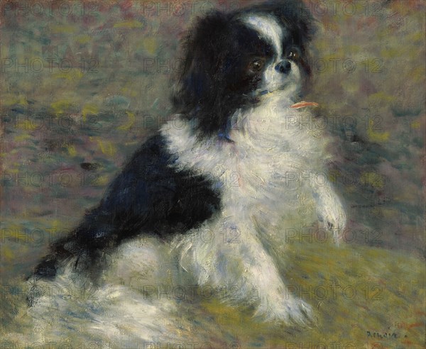 Tama, The Japanese Dog, c1876. Creator: Pierre-Auguste Renoir.