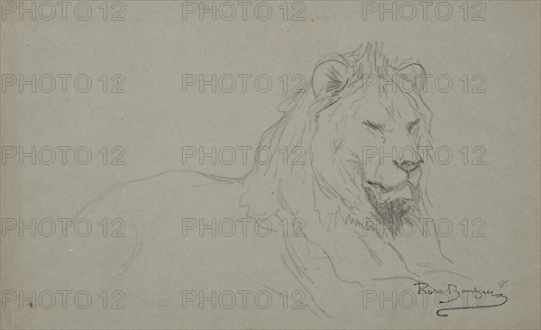 Study Of A Lion's Head, 1832-1899. Creator: Rosa Bonheur.