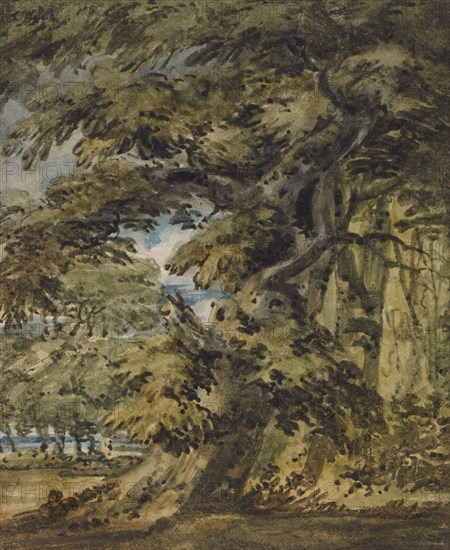 A Wooded Landscape, c1752. Creator: Thomas Girtin.