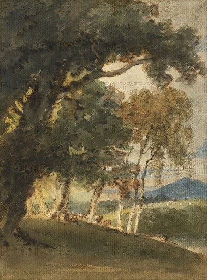 A River Valley And Distant Hill Seen Through Trees, c1800. Creator: Thomas Girtin.