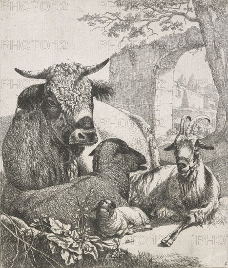 Sheep, goats and cows series: Recumbent bull, 1668-1670. Creator: Johann Heinrich Roos.