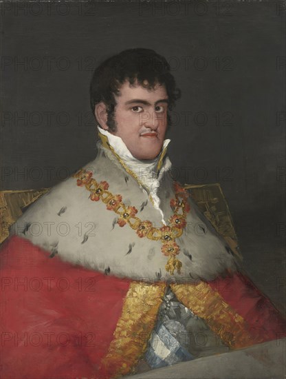 Portrait of Ferdinand VII, 1814. Creator: Francisco Goya.