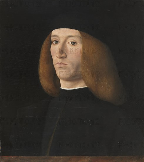 Portrait of a Young Man, unknown date. Creator: Andrea Solario.