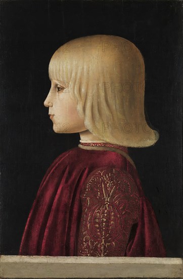 Portrait of a Boy. (Guidobaldo Da Montefeltro?), 1483. Creator: Piero della Francesca.