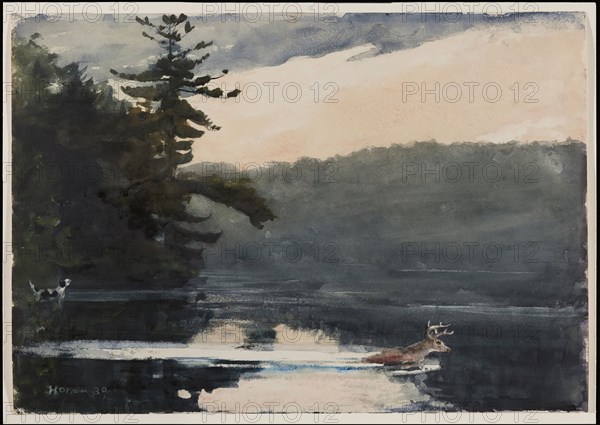 Deer in the Adirondacks, 1889. Creator: Winslow Homer.