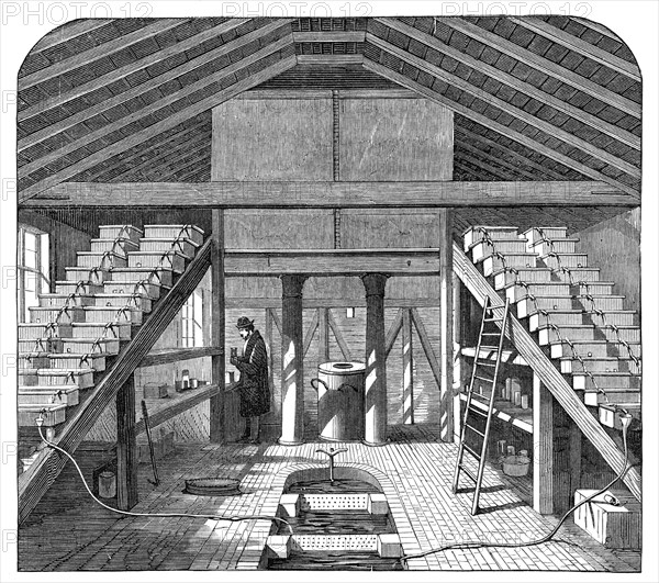 Fish-rearing house at Twickenham, 1864. Creator: Unknown.