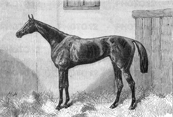 Fille de l'Air, the Winner of the Oaks, 1864. Creator: Unknown.