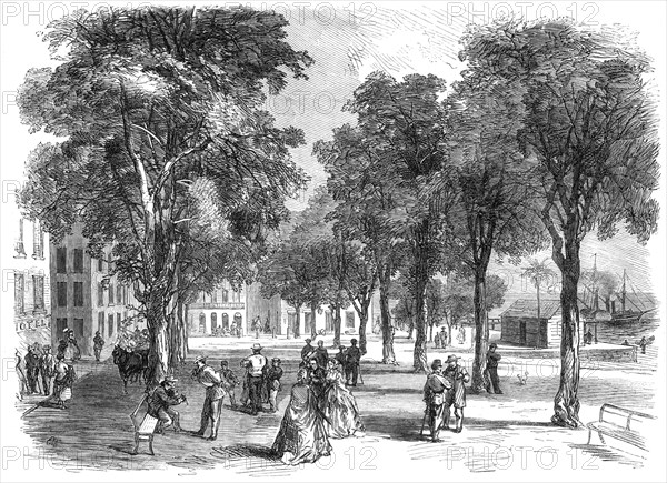 The Cours Nolivos, or Public Promenade of Basseterre, Guadaloupe, French West Indies, 1865. Creator: Unknown.