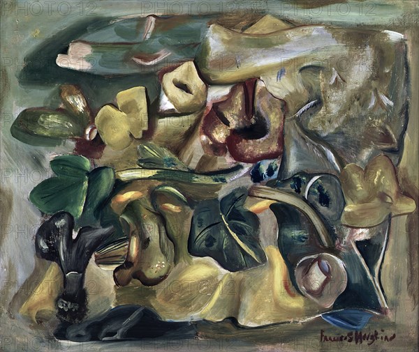 Still life, c1935. Creator: Frances Hodgkins.