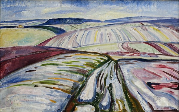 Field in Snow, 1907. Creator: Munch; Edvard (1863-1944).