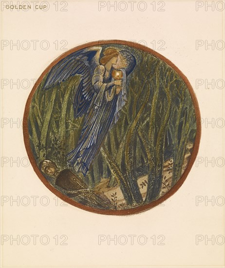 The Flower Book - Golden Cup, 1905. Creator: Sir Edward Coley Burne-Jones.