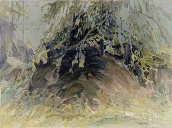 Anthill, 1937. Creator: Kalle Loytana.