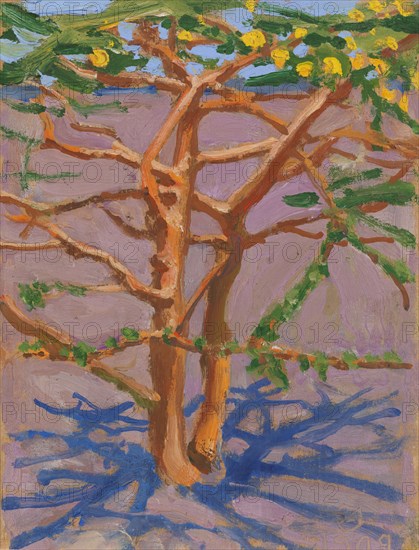 Acacia on the Savannah, 1909. Creator: Akseli Gallen-Kallela.