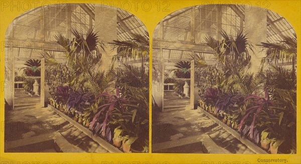 Conservatory. The President's House, Washington, D.C., 1873. Creators: C. Seaver, Jr., Charles Pollock.