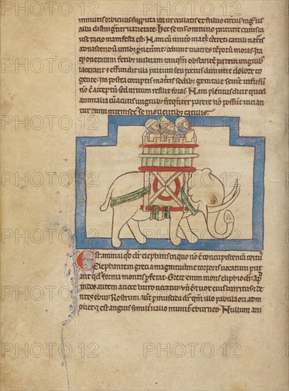 An Elephant; Northumberland Bestiary, about 1250-1260. Creator: Unknown.
