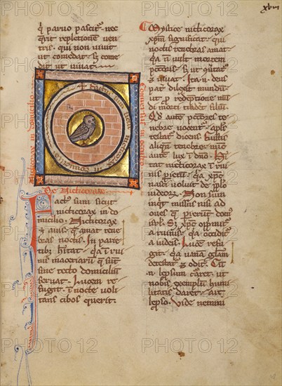 An Owl; Bestiary, about 1270. Creator: Unknown.