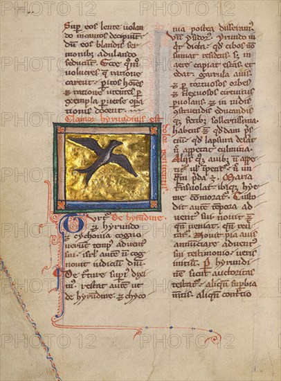 A Swallow; Bestiary, about 1270. Creator: Unknown.