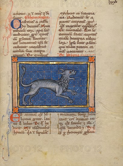 A Hyena; Bestiary, about 1270. Creator: Unknown.